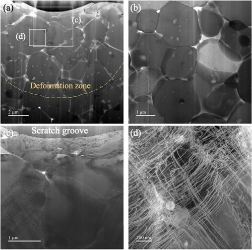 Figure 2. Cross section of the room temperature nanoscratch-tested micron-grain HEO at ∼150 mN applied normal load: (a) Bright-field STEM image displaying the deformation zone below the scratch groove. (b) Bright-field STEM image showing the representative microstructure farther away from the scratch groove and outside the deformation zone. (c) Higher magnification bright-field STEM image of the region in (a). (d) Dark-field STEM image from the region marked in (a) showing a high density of dislocations formed during nanoscratch testing.