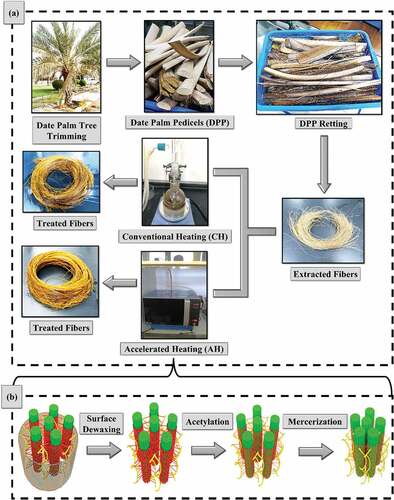 Figure 2. (a)Graphical presentation of the chemical treatment process, and (b) Process effect on DPF microstructure.