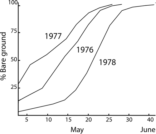 Figure 2. Course of snow melt on Tran⊘y, 1976–1978. Mean values for all vegetation types (after Blom, Citation1980).