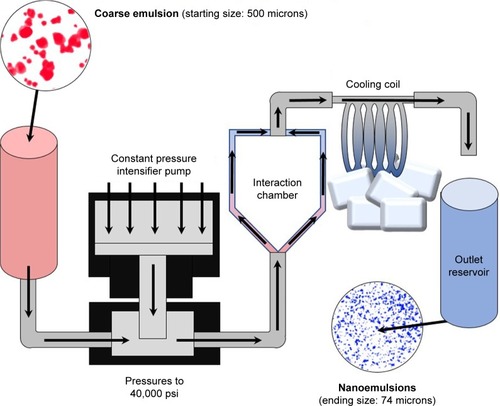 Figure 1 Microfluidization process for the preparation of nanodelivery systems.