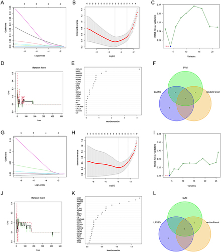 Figure 7 Machine learning analysis. (A and B) Lasso analysis of T cells CD4 naïve related co-disease genes. (C) SVM analysis of T cells CD4 naïve-associated co-disease genes. (D and E) Random forest analysis of T cells CD4 naïve-associated co-disease genes. (F) Venn diagram showing the intersected genes obtained by 3 machine learning algorithms. (G and H) Lasso analysis of Monocytes-associated co-disease genes. (I) SVM analysis of Monocytes-associated co-disease genes. (J and K) Random forest analysis of Monocytes-associated co-disease genes. (L) Venn diagram showing the intersected genes obtained by 3 machine learning algorithms.