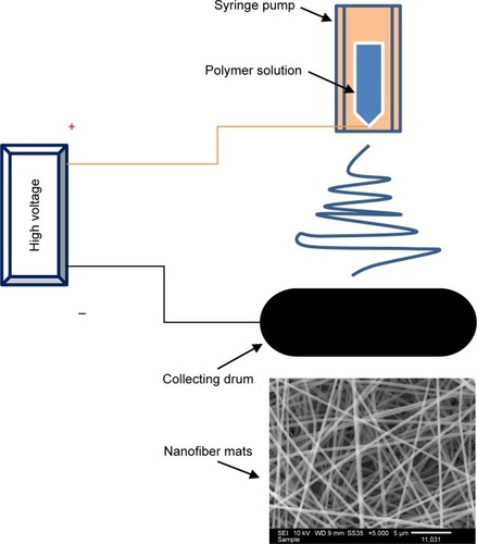 Figure 1 Schematic illustration of electrospinning process.