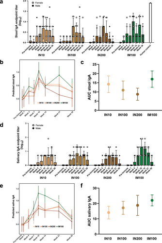 Figure 3. Mucosal antibody response. Each group (n = 7 or 6) was immunized three times either intranasally or intramuscularly at a 3-week interval with LecA+GLA-3M-052 liposome formulation. Pre-immune samples collected a week prior to the first immunization served as negative controls. Samples were then collected at the time points noted in Figure 1 (Weeks 1, 4, 7, 10, 14, 21, and 30). All samples were serially diluted and analyzed for LecA-specific antibody levels by ELISA. Any OD value ≤ 0.1 at a 1:2 dilution of stool supernatant or an OD value ≤ 0.1 at a 1:5 dilution of saliva was considered as negative/background based on the pilot runs. Endpoint titers were plotted for all the time points. (a) Stool IgA endpoint titers. Stool supernatants were prepared as described under methods. A stool sample from an infected human individual collected 28 d after PCR positive detection (human control) was used as a positive control. Samples from healthy human individuals or naïve animals acted as negative controls and showed background signal (not shown). Data are represented as mean ± SD. (b) Regression analysis for stool IgA. Data plotted after adjusting for age, sex, and weight. (c) Integrated AUC analysis of stool IgA. Data are represented as mean ± SEM. (d) Salivary IgA endpoint titers. Saliva samples were not processed after collection. Data are represented as mean ± SD. (e) Regression analysis for salivary IgA. Data plotted after adjusting for age, sex, and weight. (f) Integrated AUC analysis of salivary IgA. Data are represented as mean ± SEM.