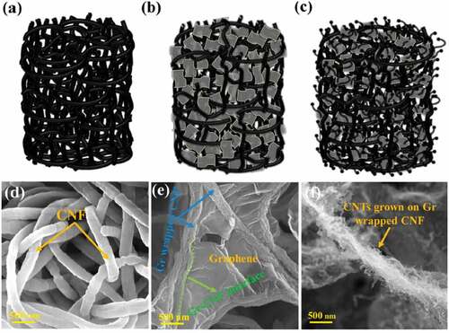 Figure 13. Schematic diagram of (a) CNF aerogel; (b) Gr-CNF aerogel; (c) CNTs@Gr-CNF; FE-SEM image of (d) CNF aerogel; (e) Gr-CNF aerogel; (f) CNTs@Gr-CNF aerogel.