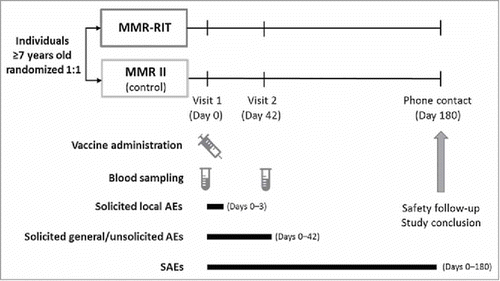 Figure 5. Study design. Footnote: AEs, adverse events; SAEs, serious adverse events.