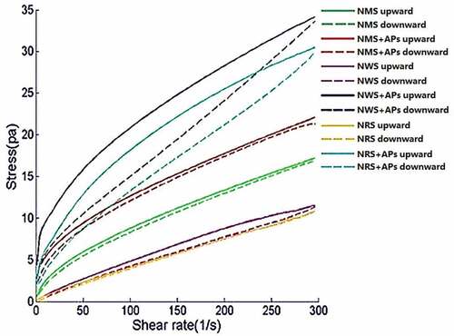 Figure 1. Upward and downward flow behavior curves of three types of starches and their complexes with apple polyphenols (APs) at 25°C