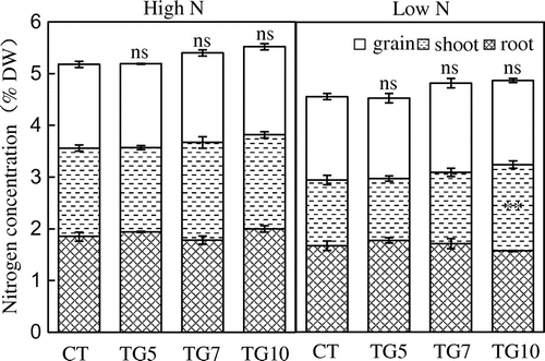 Figure 14. Nitrogen concentration of control (CT) and transgenic (TG5, TG7, and TG10) lines under high and low N conditions at the harvest stage. Data represent the mean values ± SD (n = 4). Statistical analysis of the data was performed by one-way ANOVA. Asterisks indicate that the mean values of TG5, TG7, and TG10 lines are significantly different from that of CT at p < 0.05 (*) and p < 0.01 (**). The letters ‘ns’ indicate not significantly different from CT at p < 0.05.