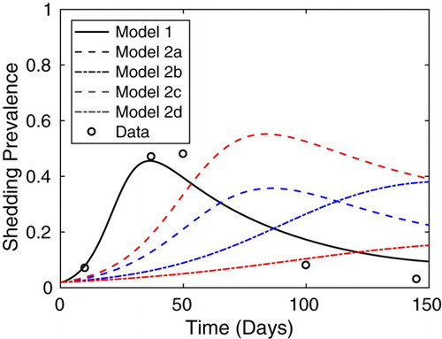 Figure 6. Simulated shedding prevalence among N=50 pigs in a pen of a grower-finisher facility and epidemiological data taken from [Citation17,Citation18]. Parameter values are as in Table 1 with initial conditions S(0)=49, I1(0)=1, L(0)=0, I2(0)=0, R(0)=0, and P(0)=0. Note that simulations of Model 1 yield the best fit for the data.