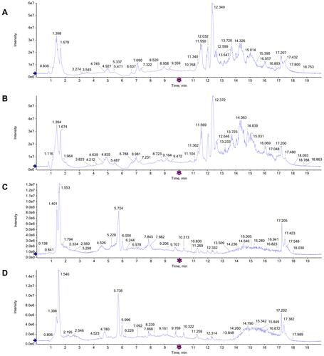 Figure 4 Representative total ion chromatograms (TICs) of serum samples subjected to (UPLC/QTOF-MS) in positive and negative ion modes. (A and B) TICs of CTRL group and LPS group in the positive ion modes; (C and D) TICs of CTRL group and LPS group in the negative ion modes.