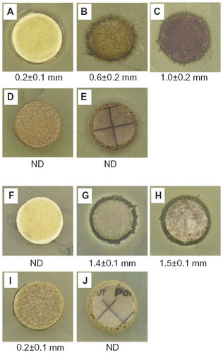Figure 2 Representative photographs of agar plates cultured with Staphylococcus aureus (A–E) or Pseudomonas aeruginosa (F–J), following the disc diffusion test with the Ag dressings.