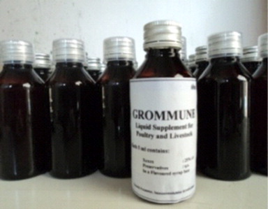 Figure 1. Grommune tonic prepared from M. citrifolia fruit juice.