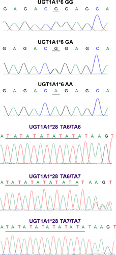 Figure S1 Examples of sequencing chromatograms of UGT1A1*6/*28 polymorphisms.