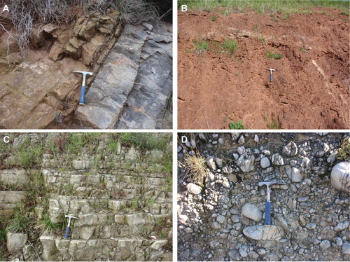 Figure 5. Outcrops of the main Palaeozoic and Mesozoic lithological units: (A) limestones of the Rañeces Group; (B) reddish lutites and sandstones of Upper Permo-Triassic Unit; (C) dolomites of Jurassic Carbonated Unit; (D) conglomerates of Jurassic Conglomerated Unit. See location in Figure 1 (bottom).