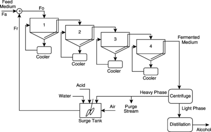 FIGURE 5 Schematic illustration of the industrial plant for ethanol production.