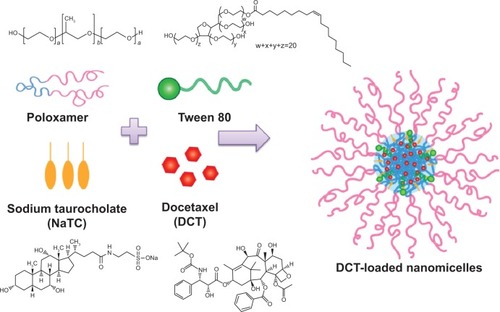 Figure 1 Schematic illustration of the preparation of DCT-loaded nanomicelles containing NaTC.