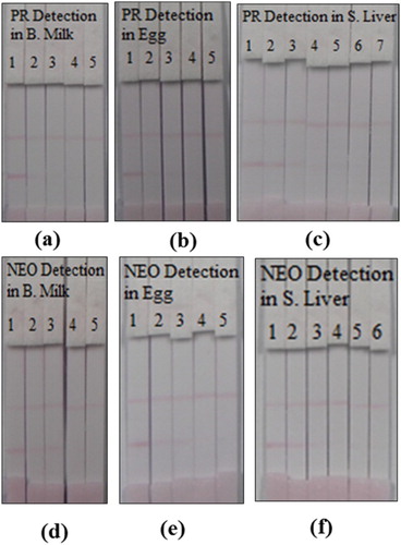 Figure 6. Strip test detection of different paromomycin and neomycin concentrations in spiked food samples. For (a) and (b); 1 = 0 ng/ml, 2 = 0.5 ng/ml, 3 = 1.0 ng/ml, 4 = 2.5 ng/ml and 5 = 5.0 ng/ml. (c); 1 = 0 µg/kg, 2 = 1.0 µg/kg, 3 = 2.5 µg/kg, 4 = 5.0 µg/kg, 5 = 10 µg/kg, 6 = 20 µg/kg, and 7 = 30 µg/kg. For (d), (e) and (f); 1 = 0 ng/ml, 2 = 2.0 ng/ml, 3 = 5.0 ng/ml, 4 = 10 ng/ml, 5 = 20 ng/ml and 6 = 30 ng/ml.