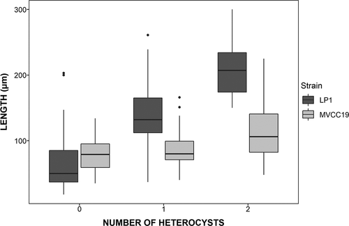 Fig. 5. Distribution of trichome length in relation to the number of heterocysts. All trichomes counted in experiment 2a were used for this graph.