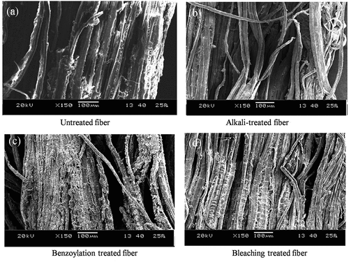 Figure 7. SEM images of untreated and treated RA fibers.