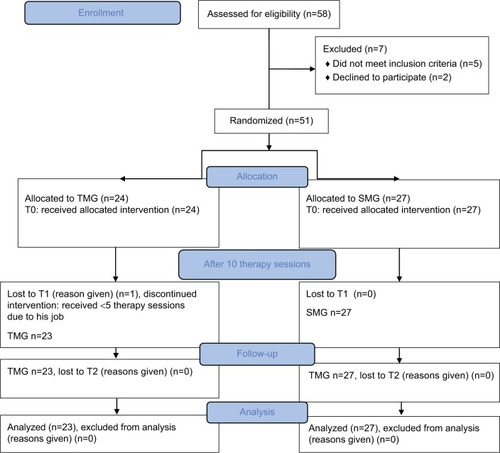 Figure 1 Flow chart of the study.