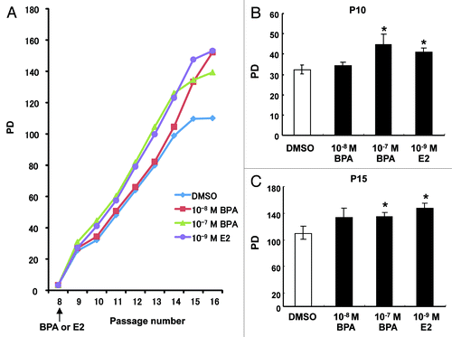 Figure 1. Effects of BPA exposure on the proliferation of HMEC. (A) Cumulative PDs of cells treated with DMSO, 10−7 M or 10−8 M BPA, or 10−9 M E2 at passage 8 (7 d period). Representative results from one series of experiments are shown. (B) Calculation of the PDs of HMEC at passages 10 and 15. *p < 0.05 vs. the DMSO control.