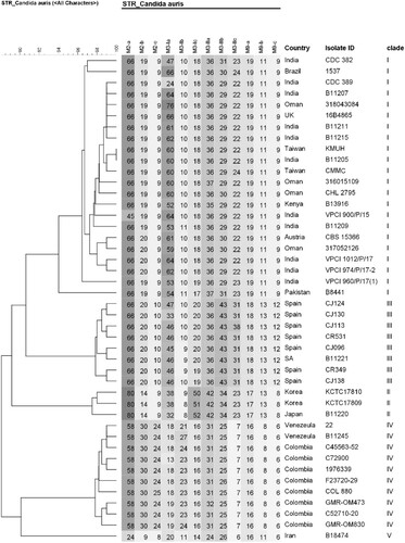 Figure 3. Short tandem repeat genotypes of 44 Candida auris isolates. Unweighted pair group method with arithmetic averages dendrogram of both isolates (KMUH and CMMC) and representative isolates from the South Asian clade and four clades are shown. Abbreviations: UK, United Kingdom; SA, South Africa.