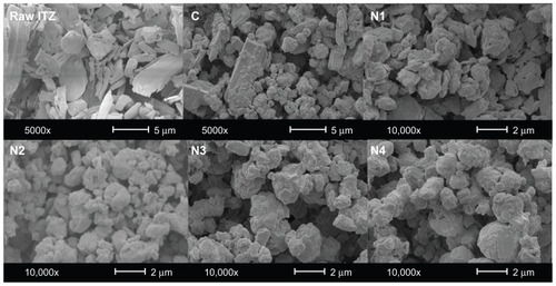 Figure 1 Scanning electron microscope micrographs of raw itraconazole (ITZ) and the spray-dried formulations at magnifications of 5000× and 10,000×.