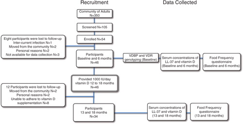 Fig. 1.  Flow of the 18-month study, participant recruitment and retention, and data collection. The study began in January, therefore, baseline (month 0), and month 13 data collection points were in the winter. The data collection points at months 6 and 18 were in the summer.