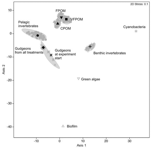 Figure 1. Bootstrap average ordination of fatty acid profiles of the different groups. Solid symbols represent average locations for particular groups. Ellipses represent regions in which 95% of these bootstrap averages fall for each group.