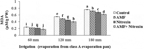 Figure 8. Interaction effect of irrigation and inoculation with bio-fertilizers on MDA content of sorghum. Values represent means ± SE. Different letters indicate significant differences using LSD test (P <.05)