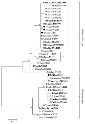 Figure 6. Phylogenetic tree based on influenza B viruses HA1 protein sequences. Only bootstrap values above 70% value are shown. Sequences from viruses detected in the 2010–2011 season are highlighted by a black dot; those from the 2011–2012 season by a gray dot. The reference viruses are in bold. The vaccine B virus for the 2010–2011 and 2011–2012 seasons (B/Brisbane/60/2008) is underlined. The vaccine B virus for the 2012–2013 influenza season (B/Wisconsin/1/2010) is indicated by an arrow.