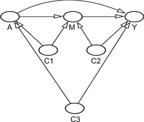 Figure S4 Final Directed acyclic graph,, stratified by waist circumference dichotomized according to sex-specific clinical cutoffs.Notes: A=FT4, M=EAT, Y=AF, C1=age, sex, cohort, smoking, alcohol, and time between measurements, C2=age, sex, cohort, smoking, alcohol, predicted values using the following variables: total cholesterol, HDL cholesterol, lipid-lowering medication, diastolic blood pressure, systolic blood pressure, blood pressure-lowering medication, prevalent CHD, and prevalent diabetes (sensitivity analysis with original covariates), C3=age, sex, cohort, smoking, and alcohol.Abbreviations: AF, atrial fibrillation; CHD, coronary heart disease; EAT, epicardial fat tissue; FT4, free thyroxine.