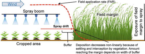 Figure 12. Diagram showing how the field margin is exposed to herbicides through spray drift from the application of herbicides to the cropped area. This scenario results in a decrease in exposure to the field margin with distance from the edge of the field (figure modified from Prosser et al. Citation2016)
