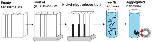 Figure 1 Schematic of Ni NWs fabrication procedure.