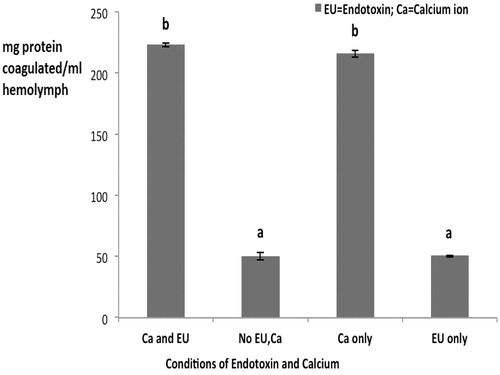 Figure 2. Protein coagulation in HL from Uca tangeri – with/without 1 EU/ml endotoxin or 0.1 M calcium. Values shown are mean ± SEM of four determinations. Bars bearing different letters are significantly different (p < 0.05).