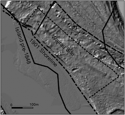 Figure 4. Shoreline of the site in 1901 compared with the shoreline of the island before the 1848 earthquake, and the modern shoreline recorded by Lidar. The 1901 shoreline is from LINZ survey plan SO621. Lidar courtesy of Marlborough District Council.