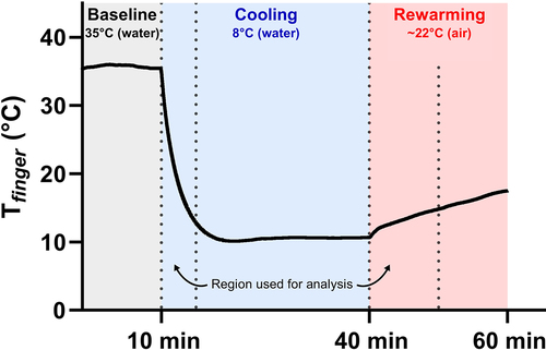 Figure 1. Representative trace of finger temperature (Tfinger) data throughout the experimental protocol along with time windows for cooling and rewarming analysis.