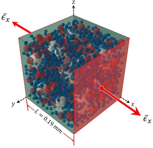 Figure 1. The representative volume element used for the model with ϕ= 30%, loaded uniaxially.