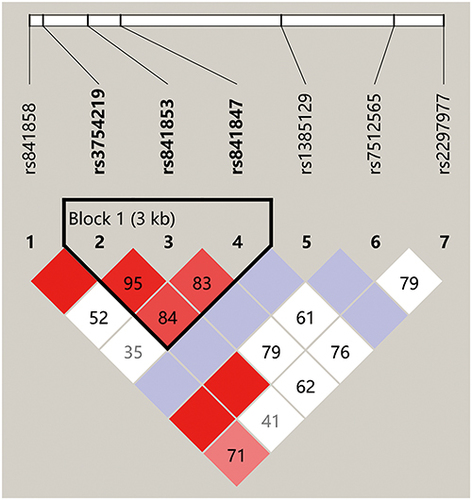 Figure 4 Haplotype block structure and linkage disequilibrium (LD) analysis of SLC2A1.