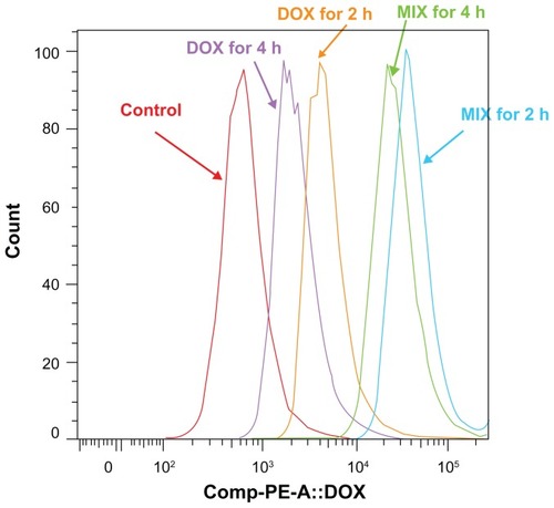 Figure 5 Flow cytometric histograms of multicellular spheroids incubated with MIX or free doxorubicin that achieved the same doxorubicin incorporation after 3 hours of exposure, at 2 and 4 hours following drug withdrawal.Notes: DOX for 2 hours, multicellular spheroids incubated in free doxorubicin for 3 hours, then compounds removed for 2 hours; DOX for 4 hours, multicellular spheroids incubated in free doxorubicin for 3 hours, then compounds removed for 4 hours; MIX for 2 hours, multicellular spheroids incubated in MIX for 3 hours, then compounds removed for 2 hours; MIX for 4 hours, multicellular spheroids incubated in MIX for 3 hours, then compounds removed for 4 hours.Abbreviations: DOX, free doxorubicin; MIX, composite doxorubicin-loaded micelles.