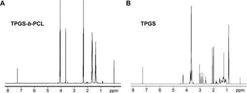 Figure 4 Typical 1H-NMR spectra of TPGS-b-PCL copolymer (A) and TPGS (B).Abbreviations: 1H-NMR, proton nuclear magnetic resonance; PCL, poly(ε-caprolactone); TPGS, d-α-tocopheryl polyethylene glycol 1000 succinate.