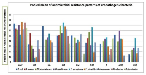Figure 3 Pooled mean antimicrobial resistance patterns of uropathogenic bacteria among pregnant women in developing countries in Africa and Asia from 2005 to 2016.