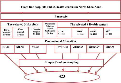 Figure 1 Schematic presentation of sample size allocation in the North Shoa Zone healthcare facilities, Oromia region, Ethiopia.