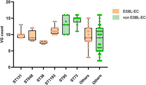 Figure 5 UPEC-associated VG count in different STs, stratified for ESBL-positivitya. aESBL-positivity based on the phenotypic ESBL production; Boxplots display median VG count and inter quartile range (IQR); every dot represents a single isolate; only STs that occurred >5% with non-ESBL-EC or ESBL-EC were grouped into main groups, the rest were categorized as “Others”.