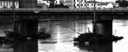 Figure 1 Debris accumulation at bridge piers of Arno River in Pisa, Italy