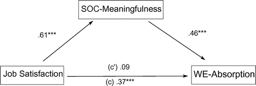 Figure 7. Model of complete mediation by the component of coherence—meaningfulness and absorption.