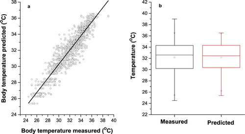 Figure 4. Measured and predicted pig’s body temperature in Feed Forward Back-propagation neural network for log-sigmoid transfer function with 20 neurons in hidden layers. (a) Scatter plot of measured and predicted pig’s body temperature. (b) Box plot of measured and predicted pig’s body temperature.