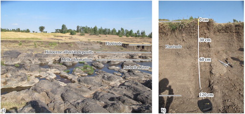 Figure 4. (a) Morphological and stratigraphical settings of the Atebela River banks, (b) profile of a Fluvisols.