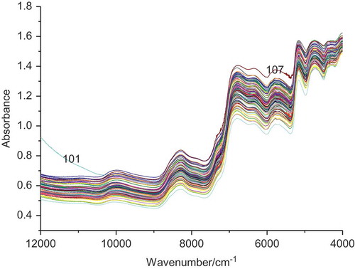Figure 1. FT-NIR spectra of the samples.
