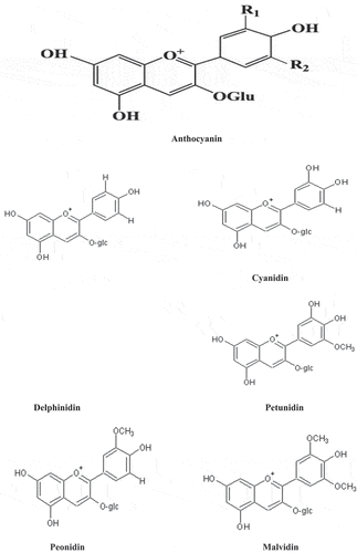 Figure 3. Structures of anthocyanins.
