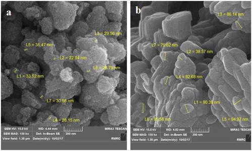 Figure 14. SEM image of SnO2 (a) and WO3 (b) nano adsorbent with coexisting of Cl− anion.